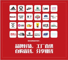 袋鼠大大 以優質取勝，切入社交電商新藍海