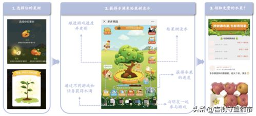 中央表彰脫貧攻堅(jiān)先進(jìn)，拼多多等互聯(lián)網(wǎng)企業(yè)彰顯社會(huì)責(zé)任