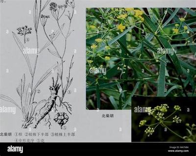 新沂手機(jī)游戲代理與互聯(lián)網(wǎng)信息服務(wù)的融合發(fā)展