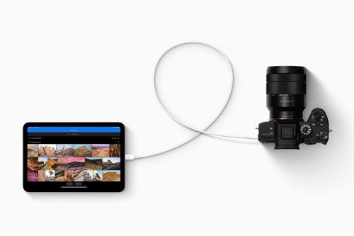 蘋(píng)果2021秋季新品發(fā)布 全新iPad與無(wú)線CarPlay引領(lǐng)科技新潮