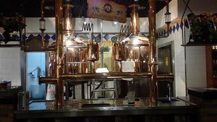 【西安自釀啤酒設備精釀啤酒設備】價格,廠家,釀酒設備-搜了網(wǎng)