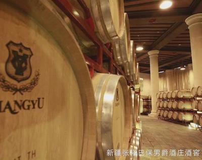 修正藥業(yè)擬購(gòu)茅臺(tái)鎮(zhèn)醬酒企業(yè);張?jiān)觸及漲停板